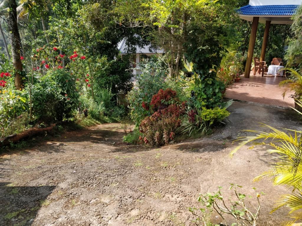 מונאר River View Inn מראה חיצוני תמונה