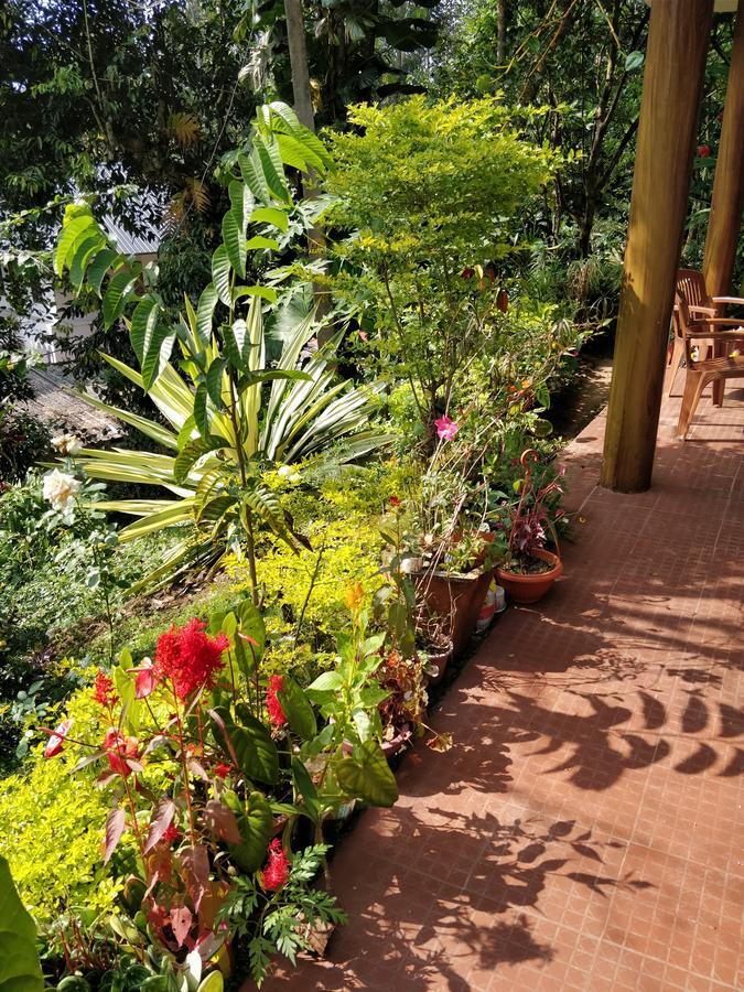 מונאר River View Inn מראה חיצוני תמונה